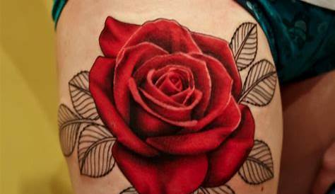 Creative Tattoos: Rose Drawing Tattoo