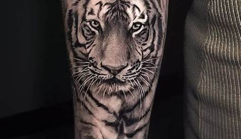 Tattoo Tigre Brazo Hombre Tiger , Animal , s