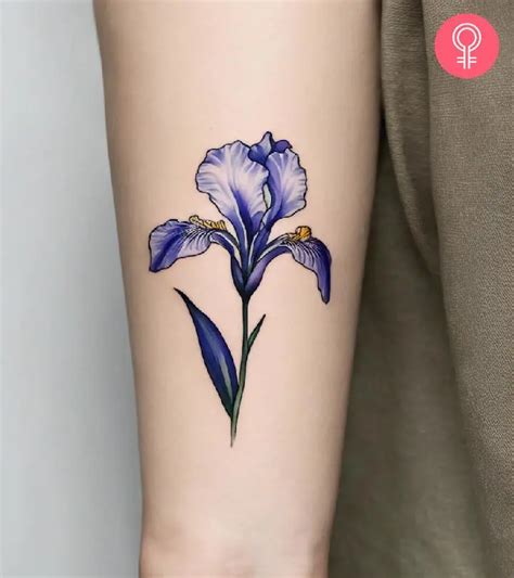 Tattoo Iris Flower Designs