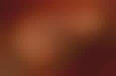 tattooed 2 temptresses