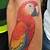 tattoos of parrots