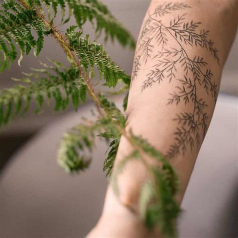 Tattoos Of Ferns