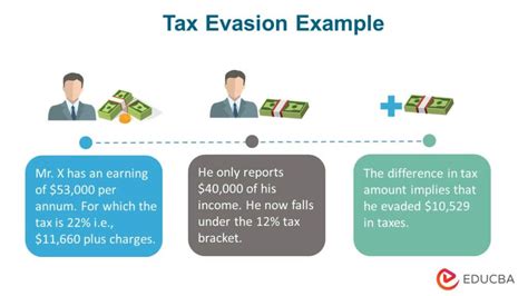tax evasion real life examples