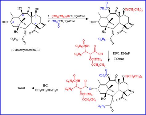 taxol structure functional groups