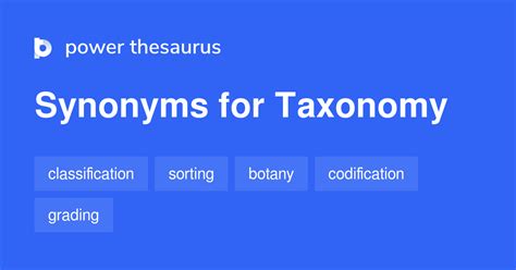 taxonomy synonym