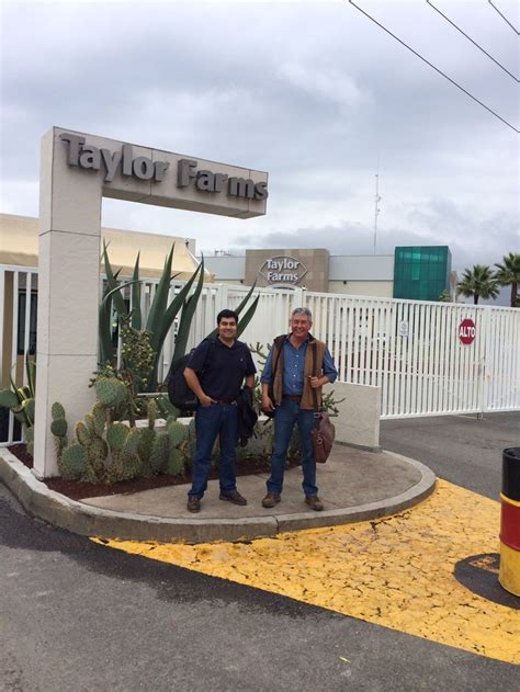Taylor Farms Dsd