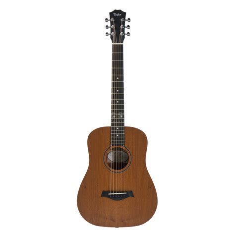 Taylor 210ce Gitarren Total