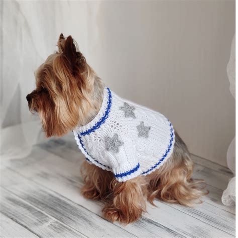 taylor swift dog outfit