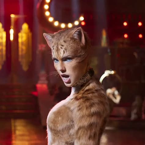 taylor swift in cats outfit