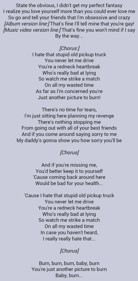 taylor swift picture to burn original lyrics