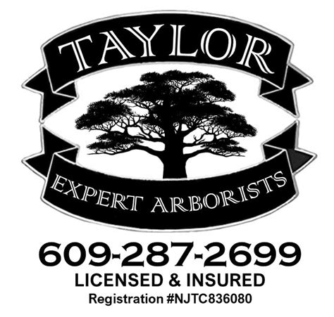 taylor tree service llc
