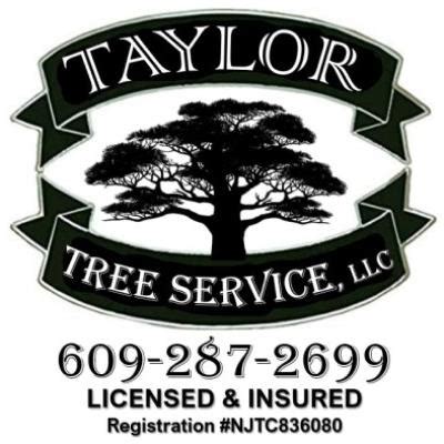 taylor tree service near me