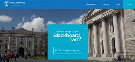 tcd blackboard login