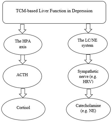Tcm Liver Depression
