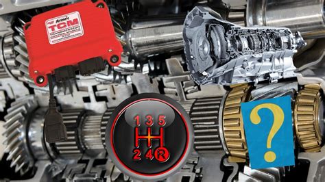 Tcm Meaning Engineering