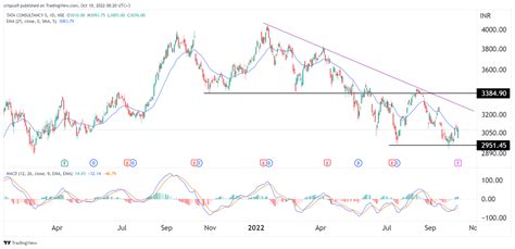 tcs share price in usa