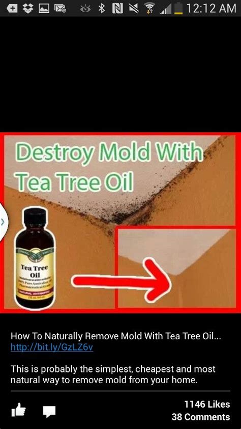Nexon Botanics Organic Tea Tree Oil 30 ml Melaleuca