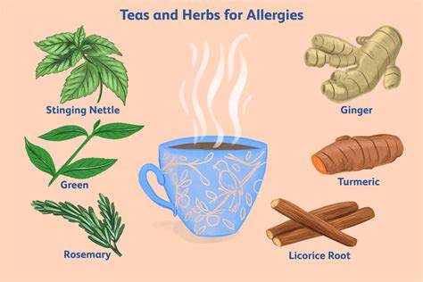 Tea Allergy Advice