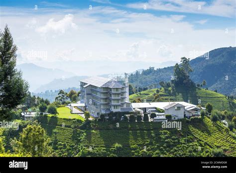 Tea Factory Sri Lanka