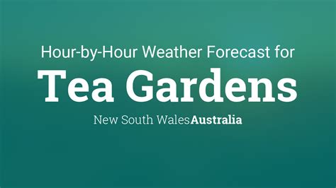 Tea Gardens Forecast