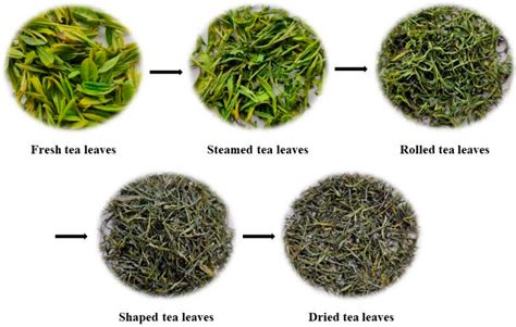 Tea Leaves Definition
