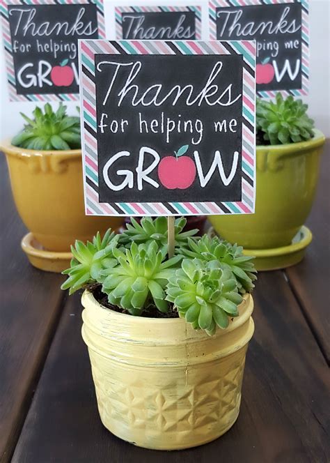 Teachers plant the seeds... Teacher gifts, Teacher appreciation gifts