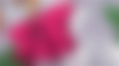 teacher fucks student