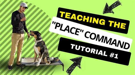Teaching A Dog Place Command