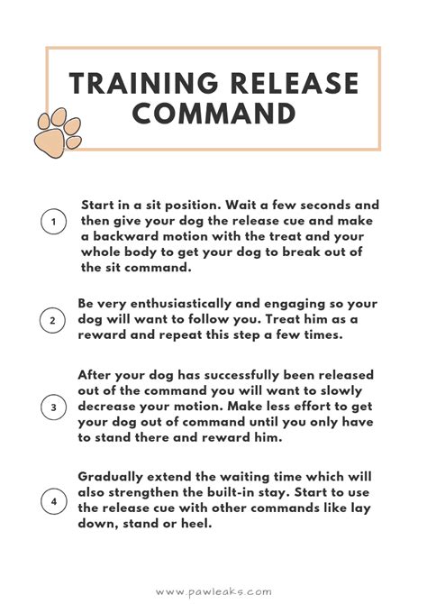 Teaching A Dog Release Command