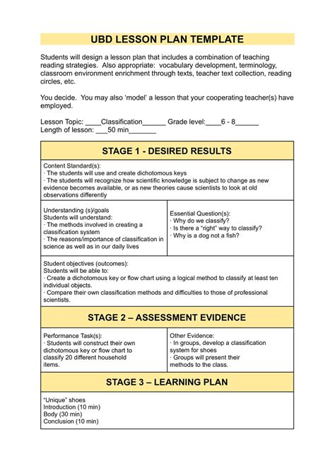 teaching for understanding lesson plan template