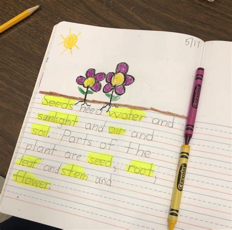 Teaching Journal Writing Elementary