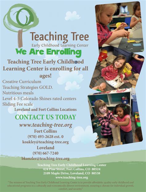 teaching tree fort collins