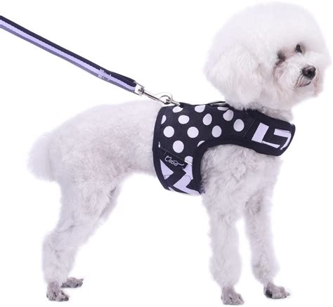 Teacup Dog Harness