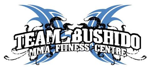 team bushido mma fitness center