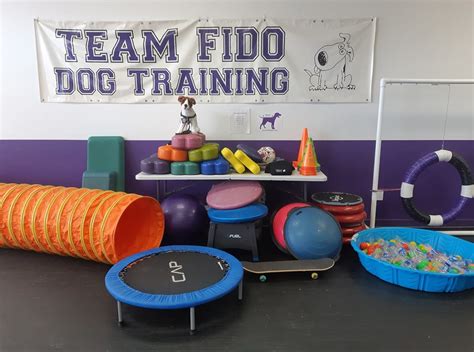 team fido dog training