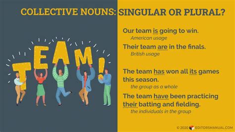 team is singular or plural examples