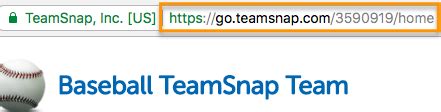 Teamsnap Number