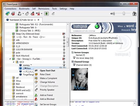 teamspeak 3 download client windows
