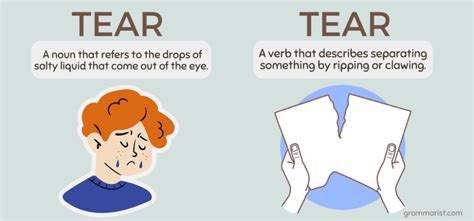 tear meaning in punjabi with example