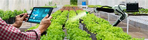 techio.uk/simulated-intelligence-in-agribusiness/