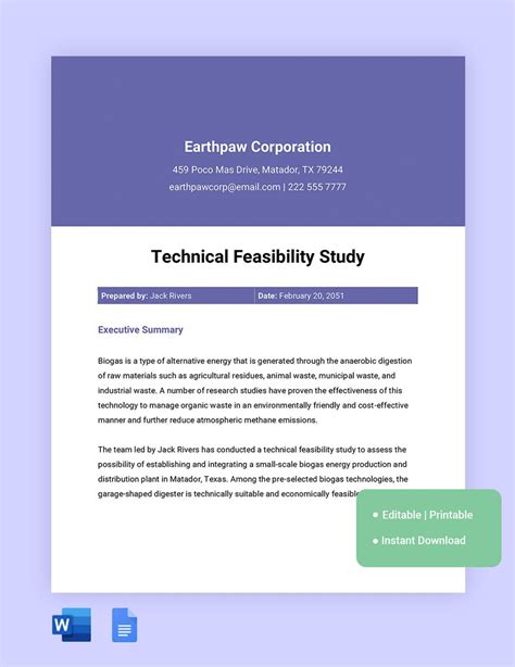 technical feasibility study format