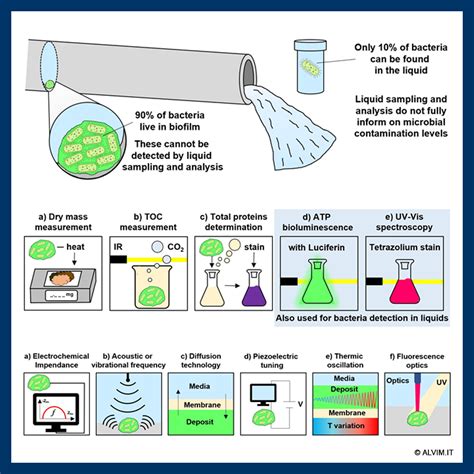 Techniques For Rapid Detection Of Bacteria