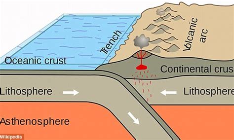 Tectonic Plates Float On Earth's