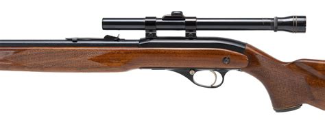 Ted Williams 22 Rifle For Sale