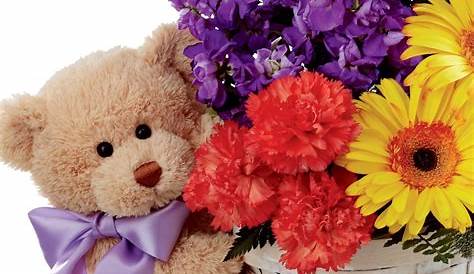 Teddy Bear And Flowers Gift / Teddy Bear Gift Basket Buy Online Or Call