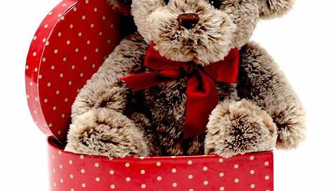 Teddy Bear Strawberry Valentines Day Cute Gift Etsy