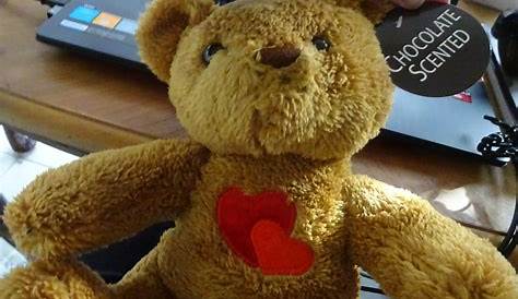 Chocolate Scented Teddy Bear | Great ideas | Bear valentines, Surgery