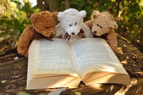 Cute Teddy Bear Explores the World of Reading: A Heartwarming Sight you Don't Want to Miss!