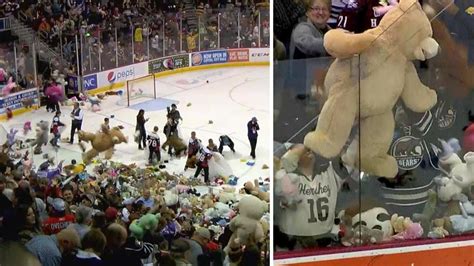teddy bear throw hockey