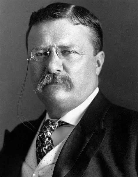 teddy roosevelt as governor